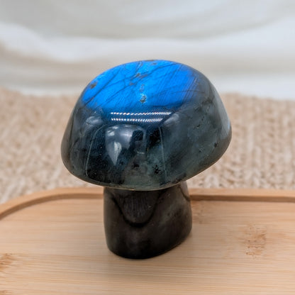 Flashy Labradorit Pilz [F]