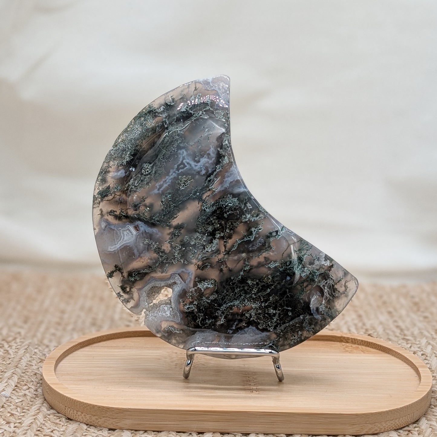 Moosachat Mond auf Ständer [MD]