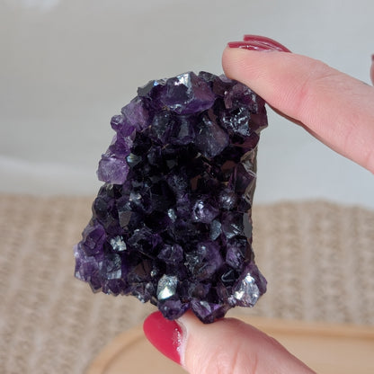 Dunkles Amethyst Cluster [OQ]