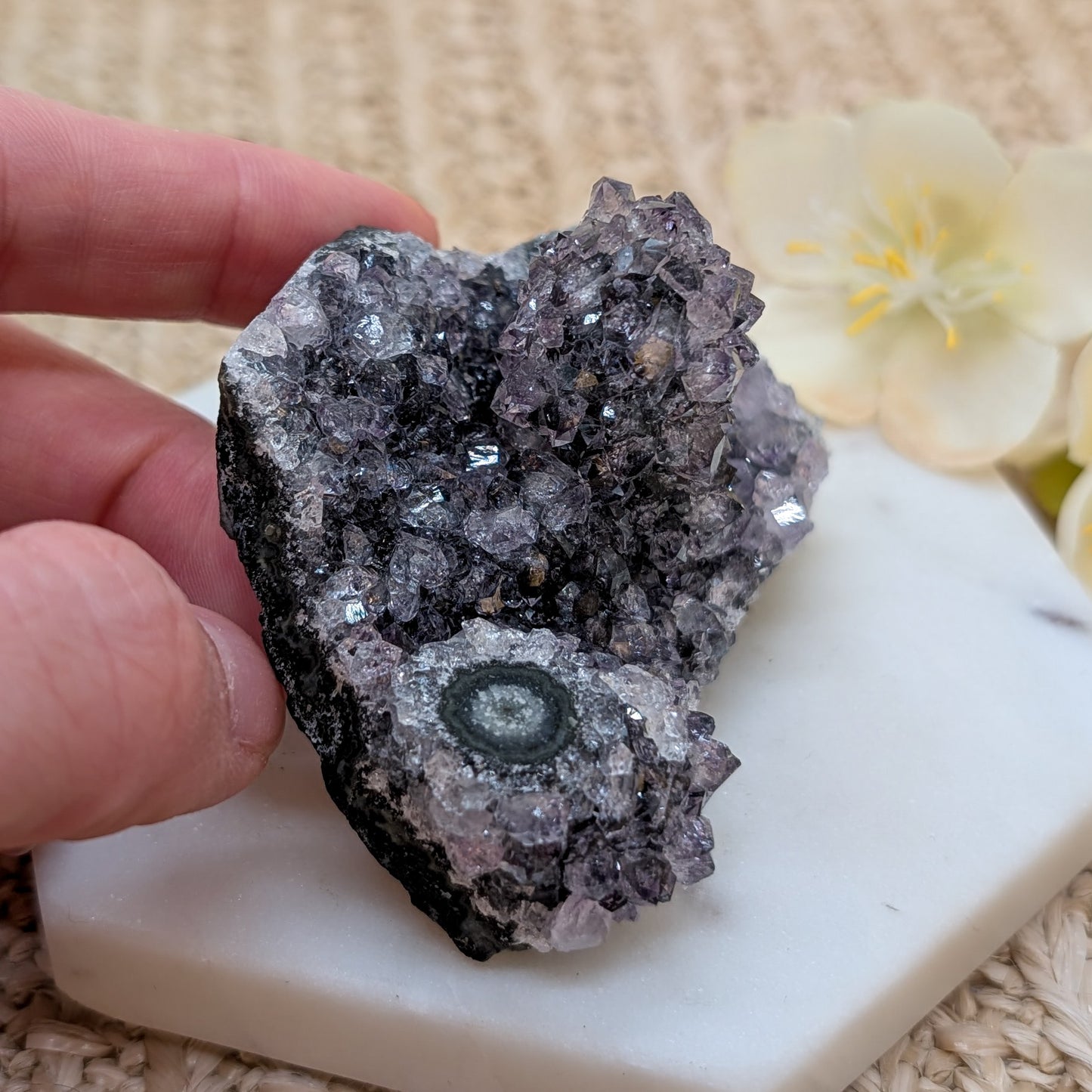 Amethyst Cluster / Freiform [SP]