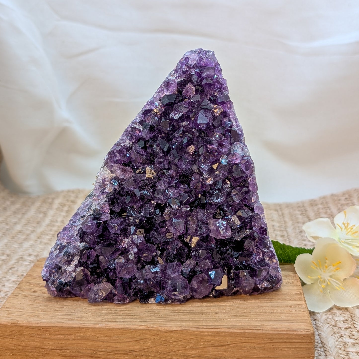 Dunkles Amethyst Cluster / Freiform [X3]