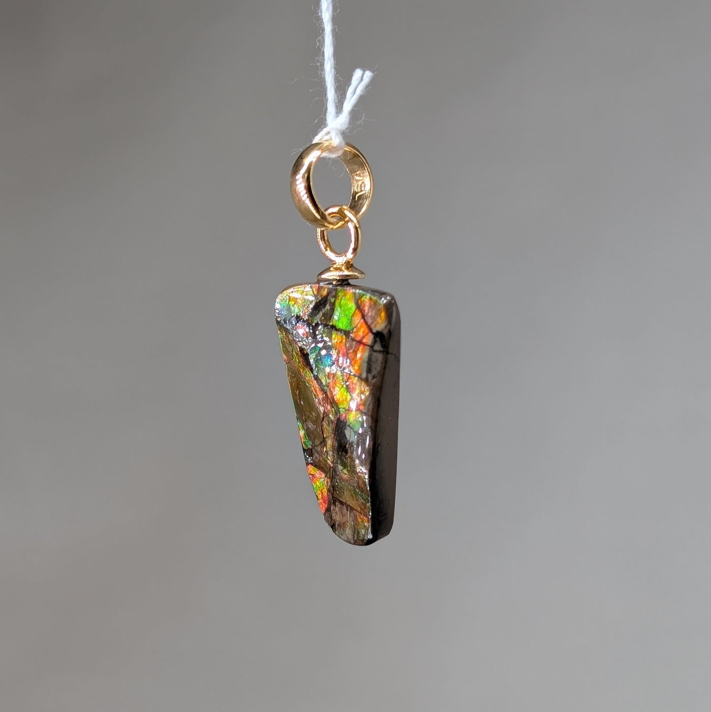 Ammolith Kettenanhänger [A]