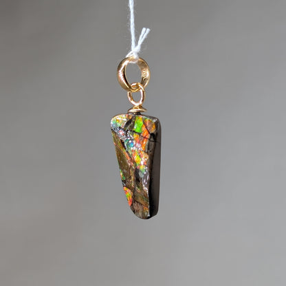 Ammolith Kettenanhänger [A]