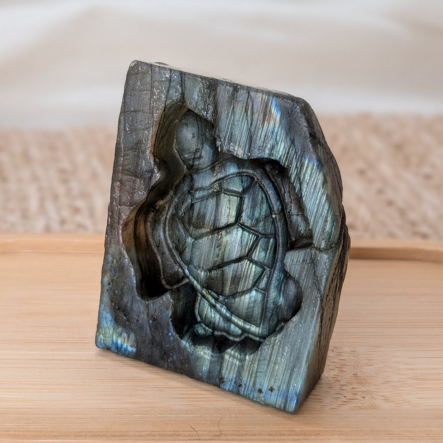 Flashy Labradorit Schildkröte [H]