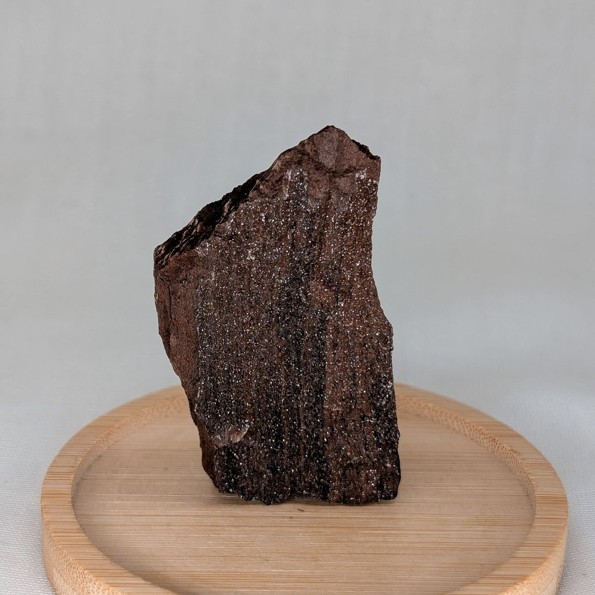 Feenholz / Permineralisiertes Holz [I]