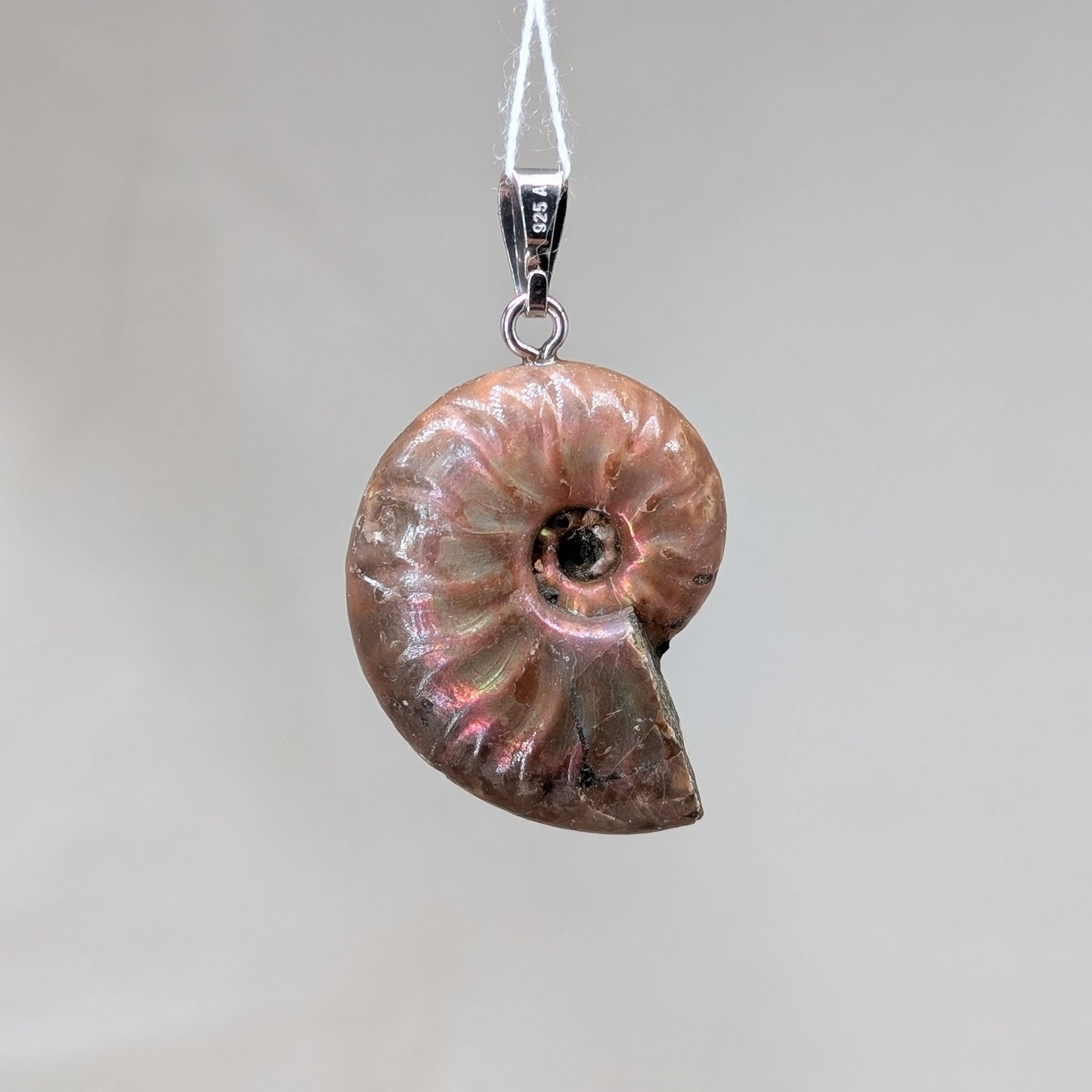 Ammonit Kettenanhänger, 925er Silber [D]