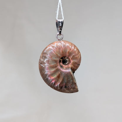 Ammonit Kettenanhänger, 925er Silber [D]