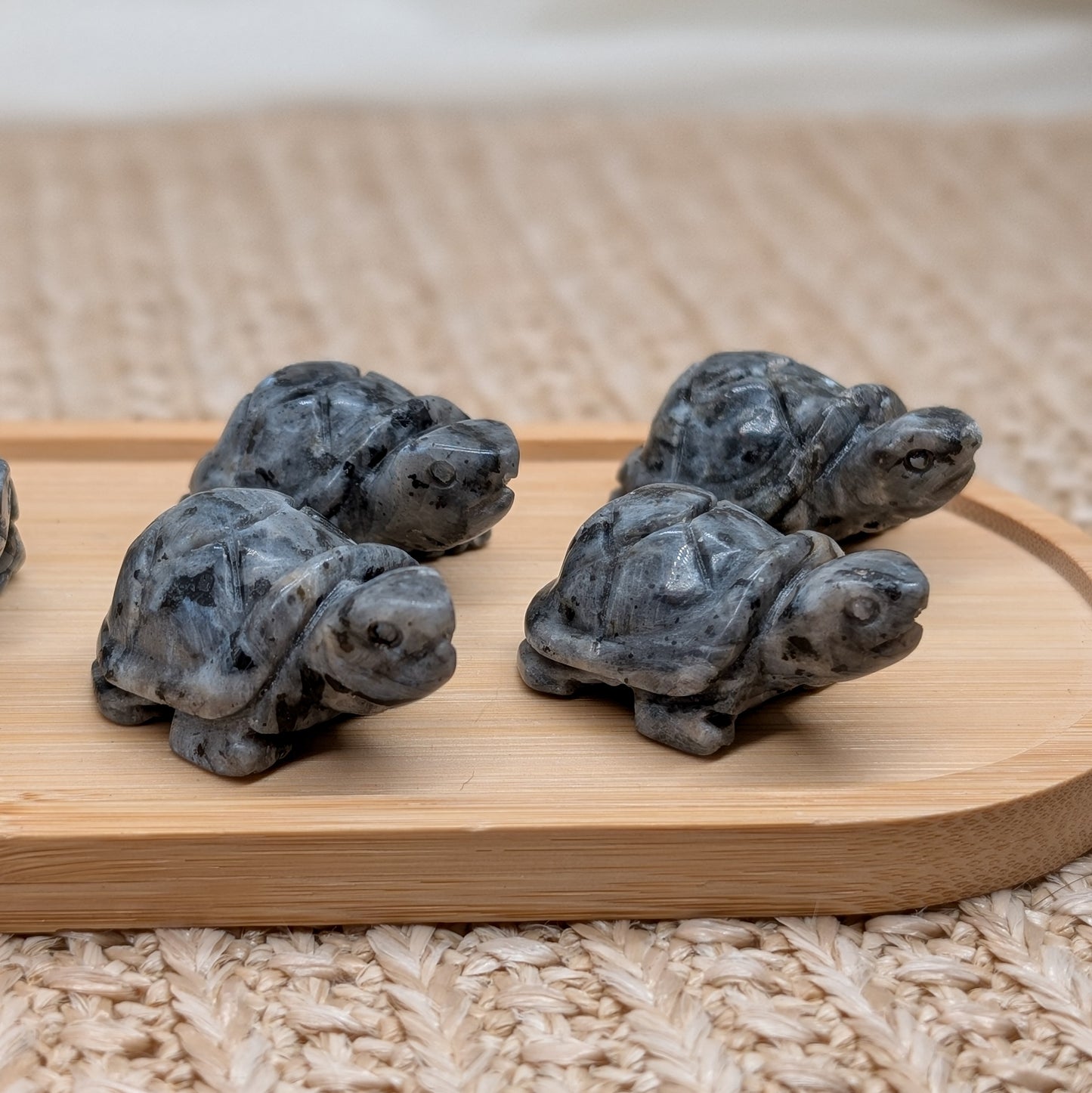 Larvikit Schildkröte