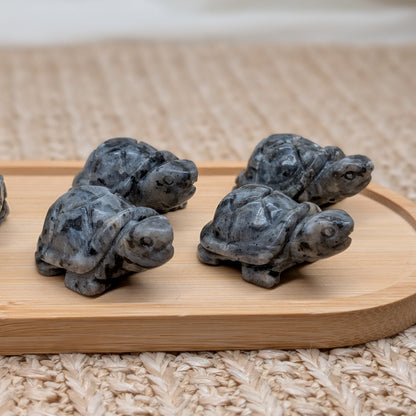 Larvikit Schildkröte