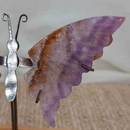 Crazy Lace Amethyst Schmetterling [B]