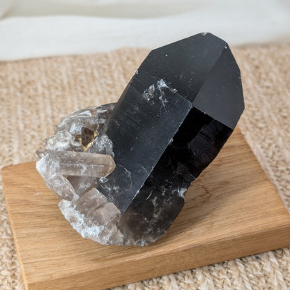 Rauchquarz Cluster [RE]