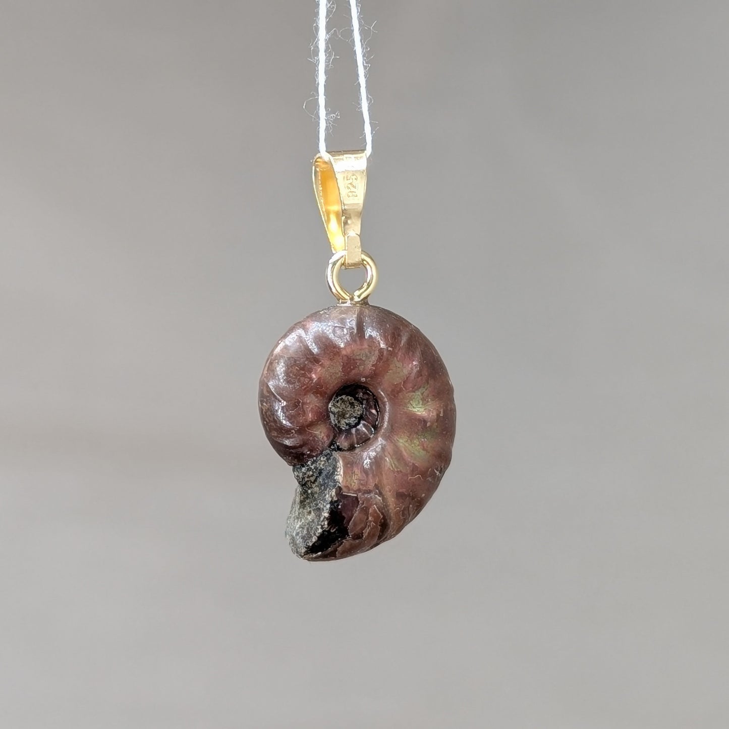 Kleiner Ammonit Kettenanhänger [G]