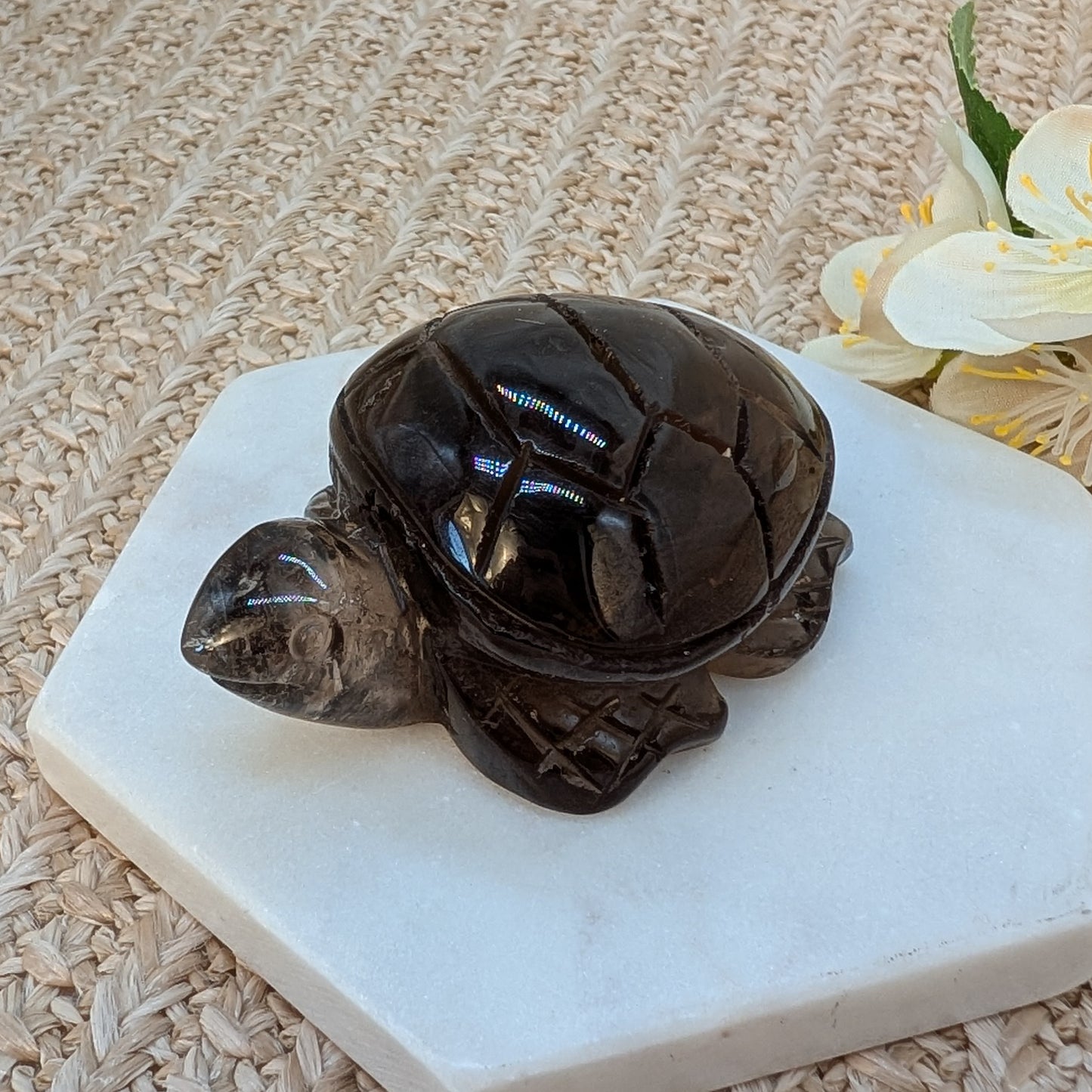 Rauchquarz Schildkröte [RS]
