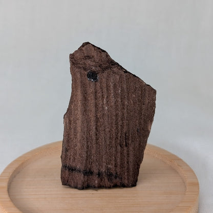 Feenholz / Permineralisiertes Holz [I]