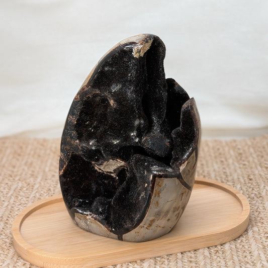 Septarien Rohstein / Dino Ei [S]