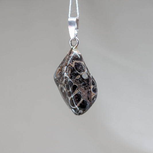 Turitella Jaspis Kettenanhänger [U]