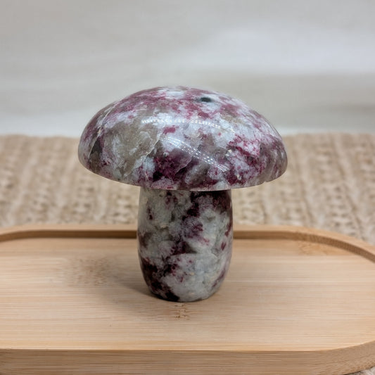 Rubellit in Quarz Pilz [F]