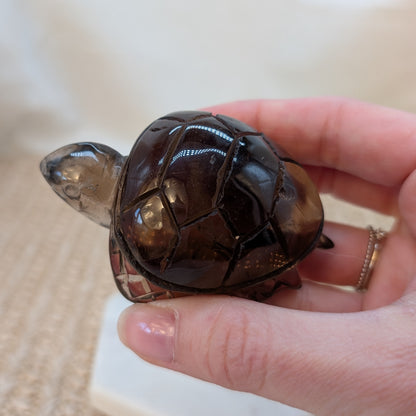Rauchquarz Schildkröte [RS]