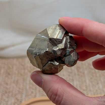 Pyrit Rohstein mit großen Cubes [A+B]