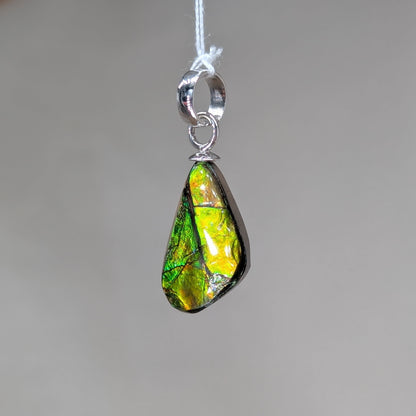 Ammolith Kettenanhänger, 925er Silber [E]