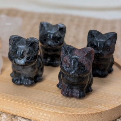 Katze klein, 4 Varianten
