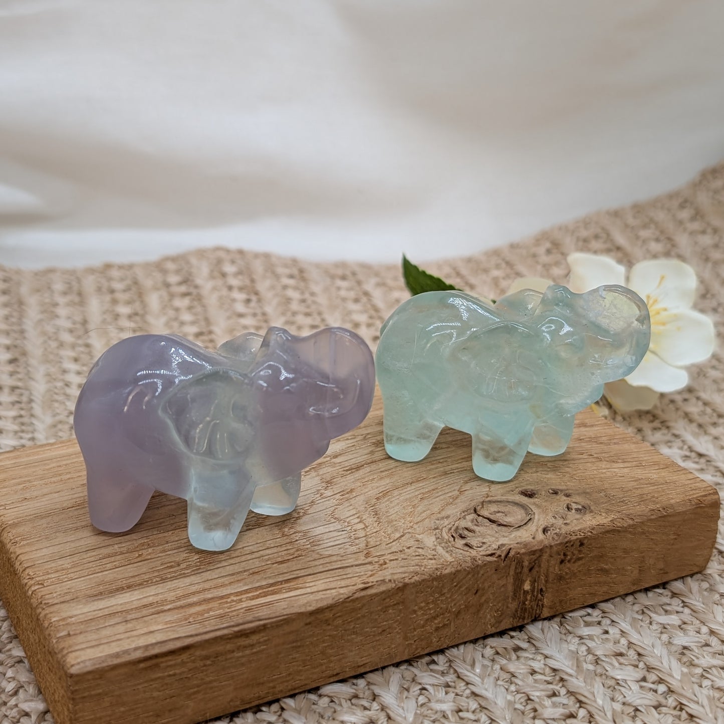 Lavendel Fluorit Elefant [A+B]