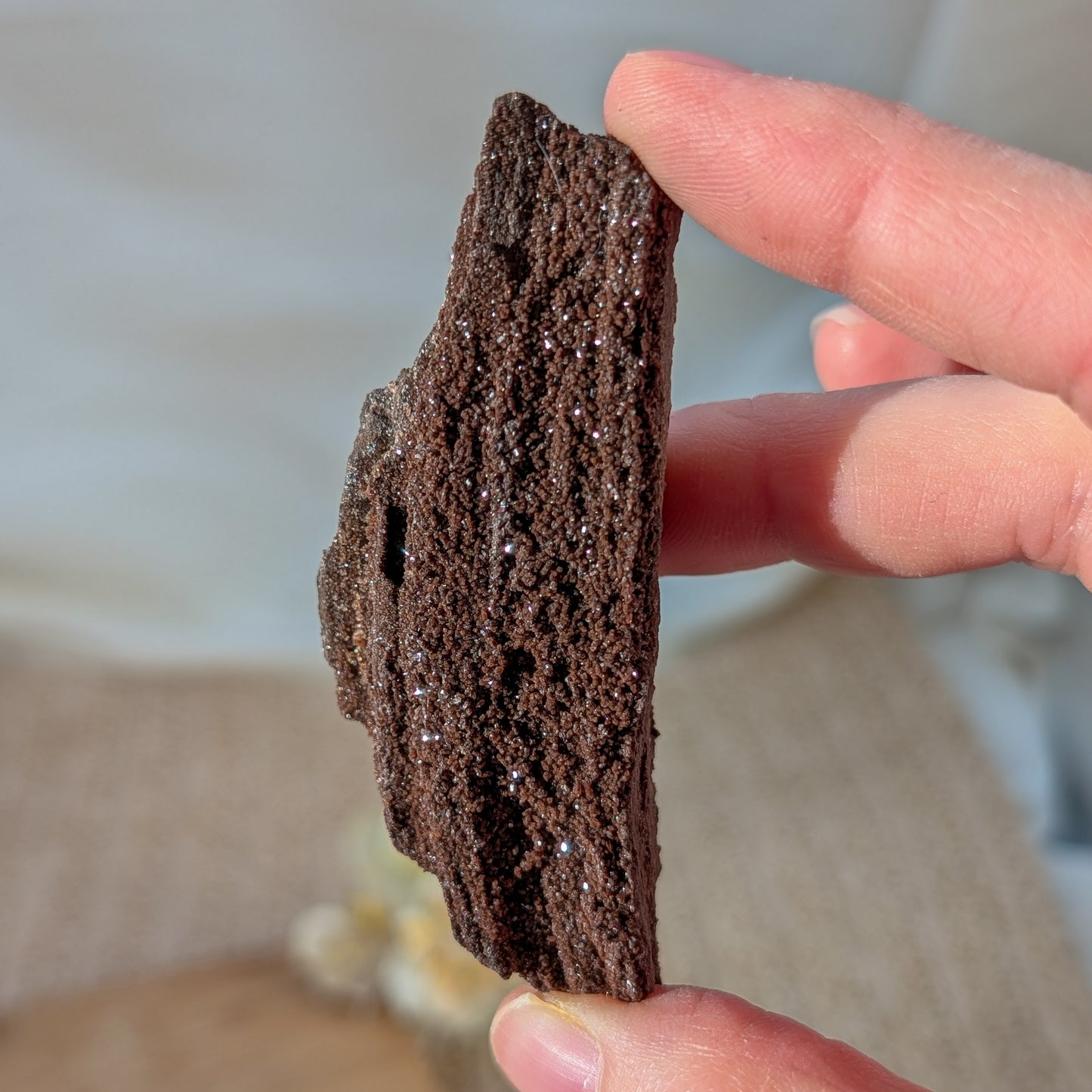 Feenholz / Permineralisiertes Holz [C]