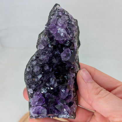 Dunkles Amethyst Cluster [O]