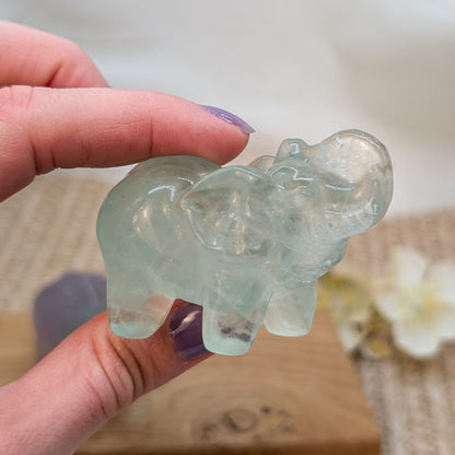 Lavendel Fluorit Elefant [A+B]