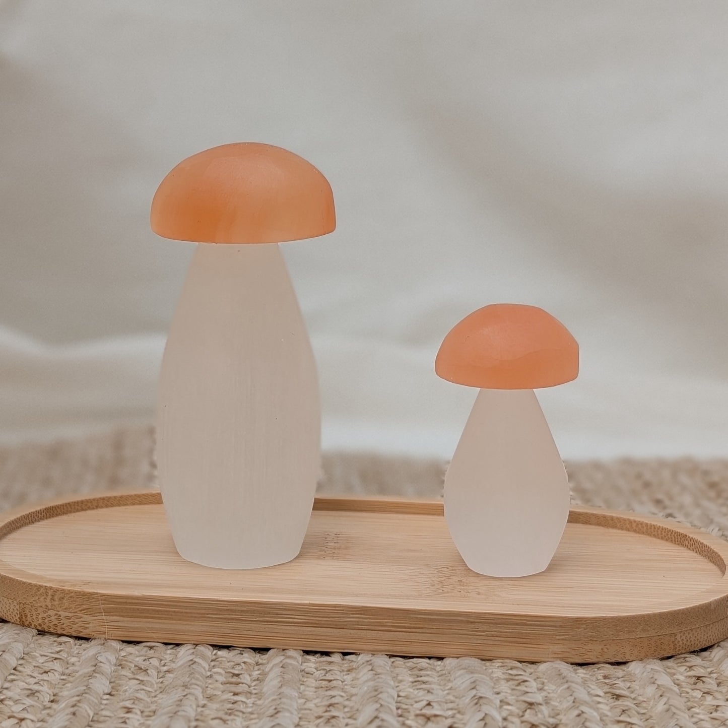 Zweifarbiger Selenit Pilz