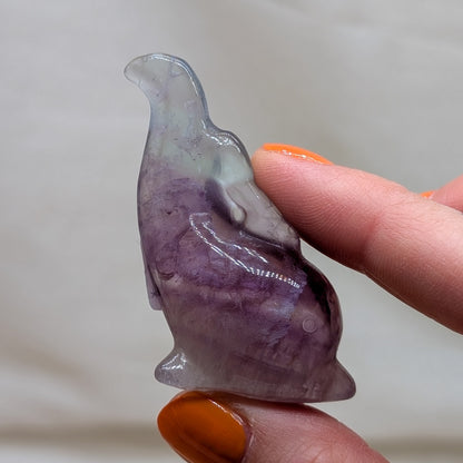 Fluorit Delfin [A-C]