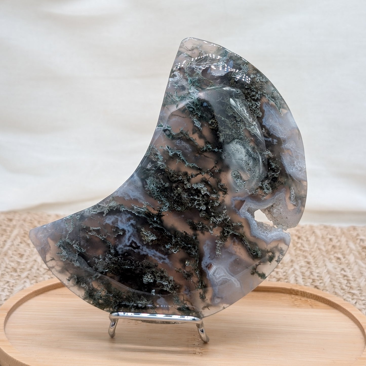 Moosachat Mond auf Ständer [MD]