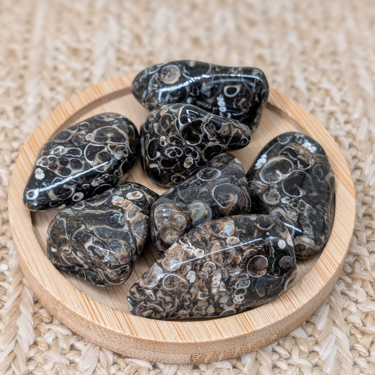 Turitella Jaspis Trommelstein