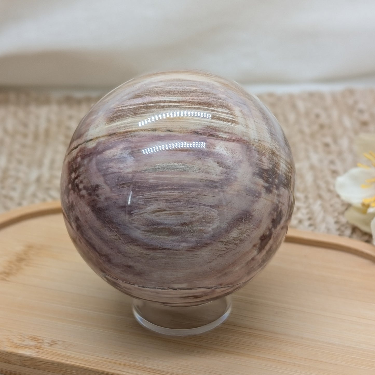 Rosa Versteinertes Holz Kugel [VK]