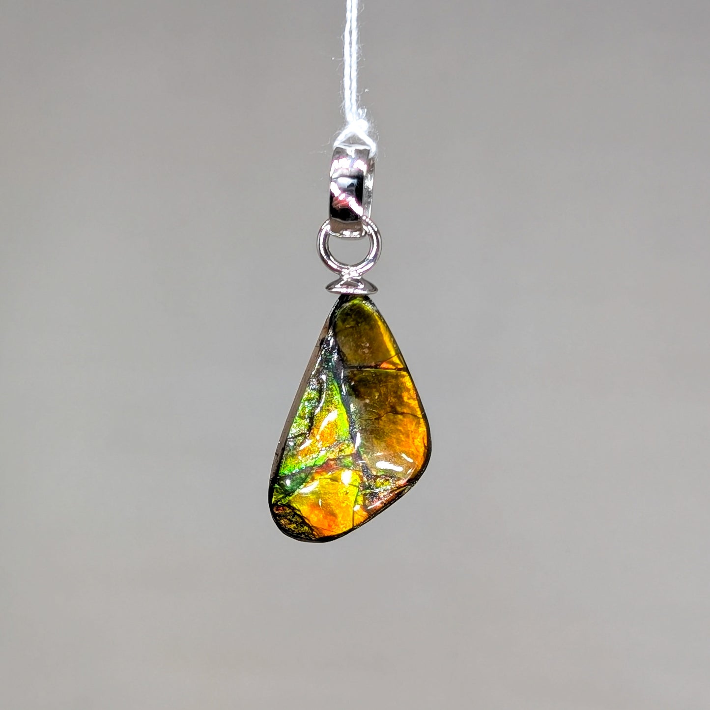 Ammolith Kettenanhänger, 925er Silber [E]