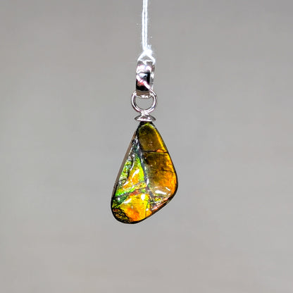 Ammolith Kettenanhänger, 925er Silber [E]