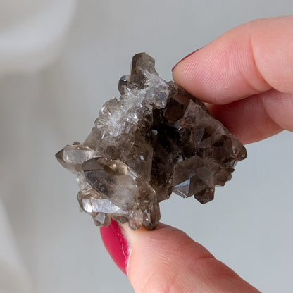 Kleines Rauchquarz Cluster [C+D]