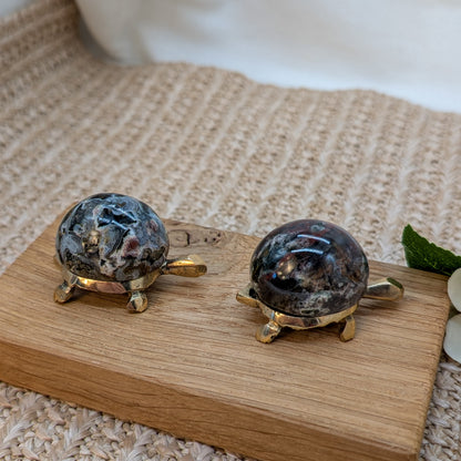 Ozeanachat Schildkröte [A+B]