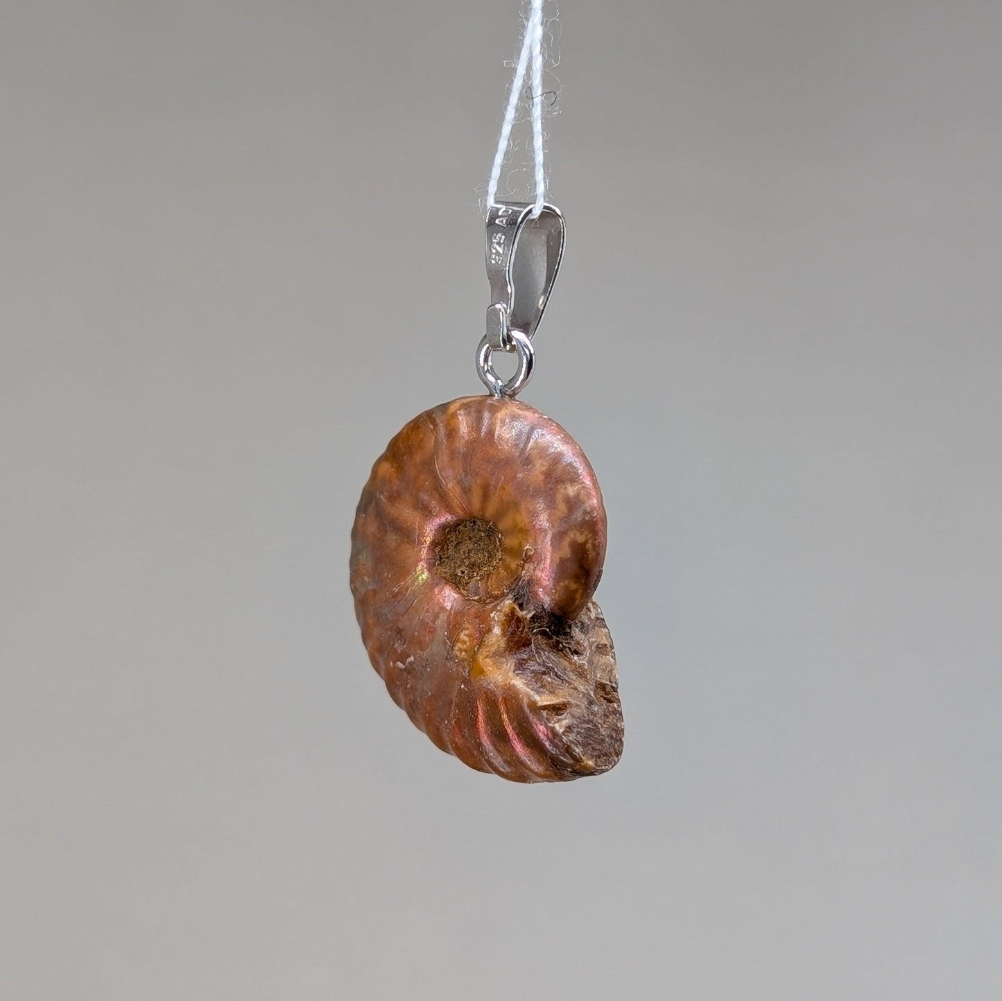 Ammonit Kettenanhänger, 925er Silber [B]