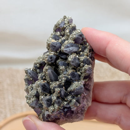 Amethyst Cluster mit Pyrit [QP]