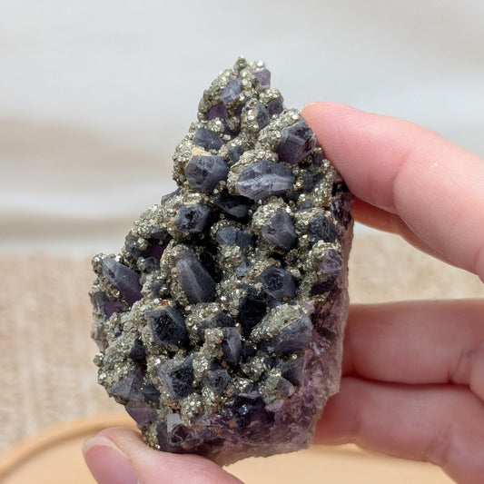 Amethyst Cluster mit Pyrit [QP]