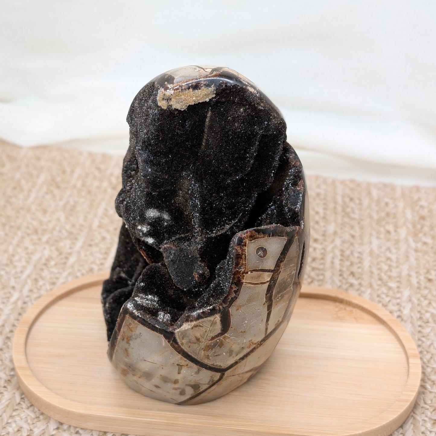 Septarien Rohstein / Dino Ei [S]