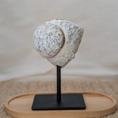 Druzy Achat Freiform auf Ständer [B]