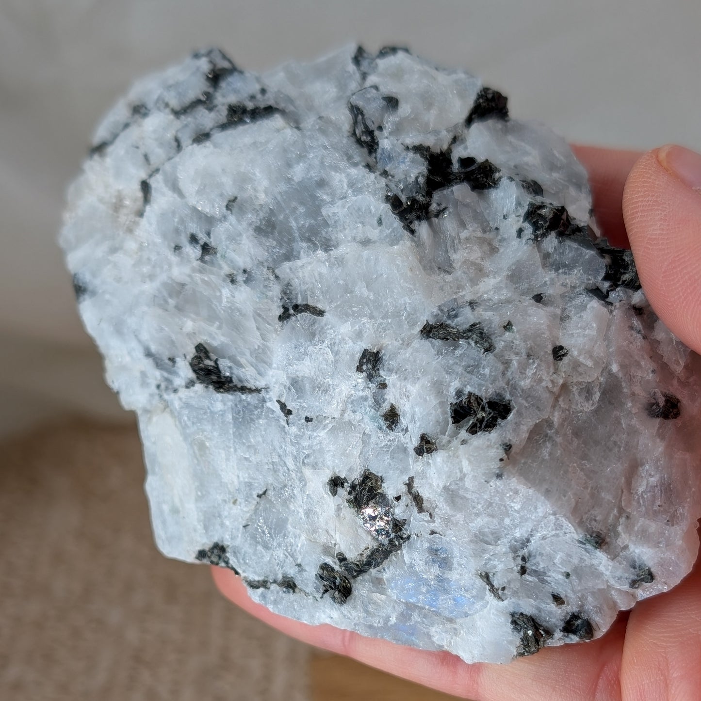 Regenbogen Mondstein Rohstein [T]