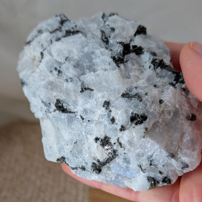 Regenbogen Mondstein Rohstein [T]