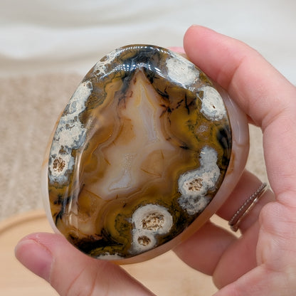 Druzy Achat Pilz [PA]