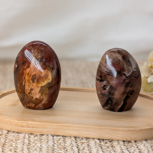 Versteinertes Holz Freiform [AH+BH]