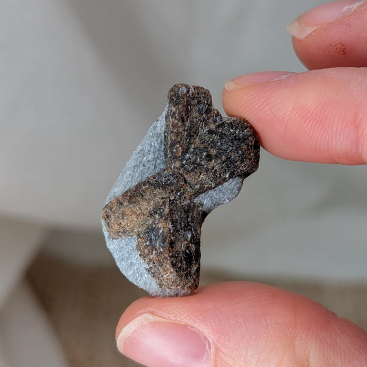 Staurolith Rohstein [T]