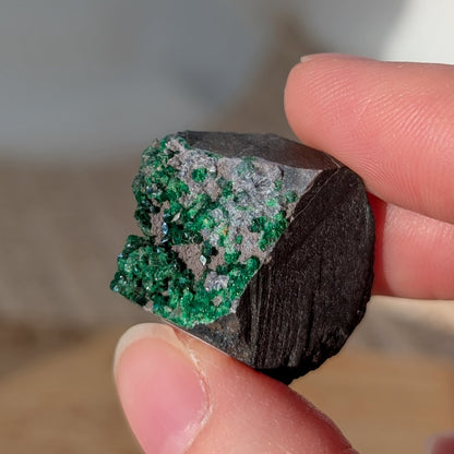 Funkelnder Uwaworit 💚 [UB]
