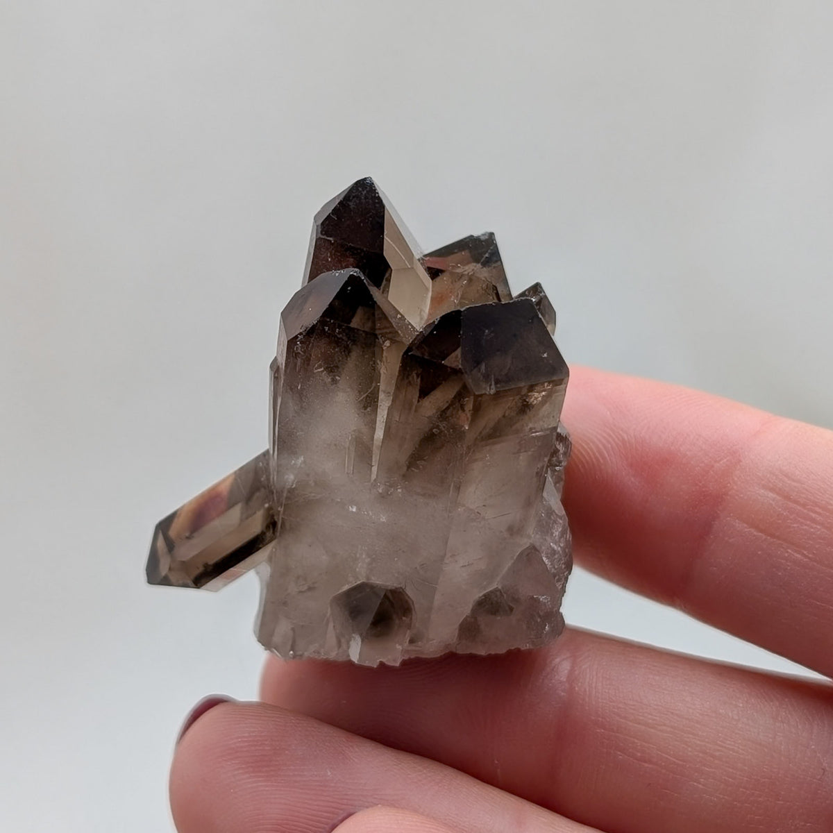 Kleines Rauchquarz Cluster [A+B]